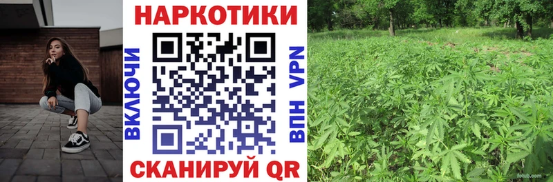  COCAIN Гремячинск