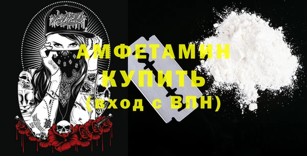 ECSTASY Богданович