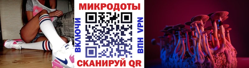 Псилоцибиновые грибы Psilocybe дарк нет клад Гремячинск где купить наркотик